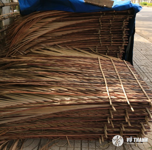 co tranh 2
