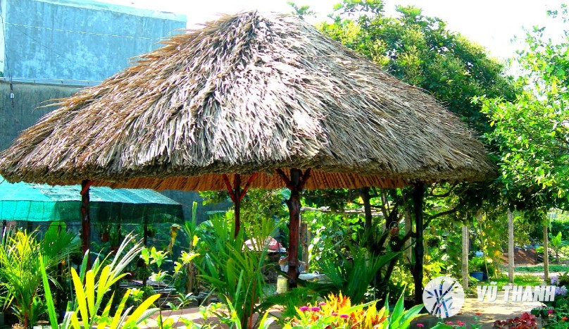 nha tranh 2